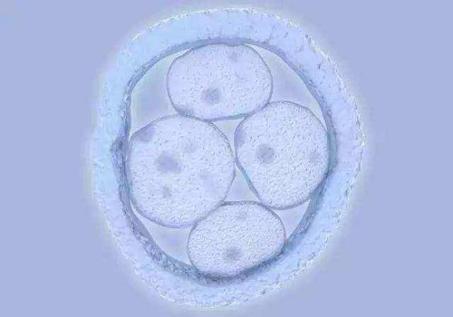 做完造影当月可以怀孕吗？了解造影后的备孕最佳时间