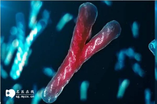 婴儿辅食至关重要，6个月时就需要添加辅食了