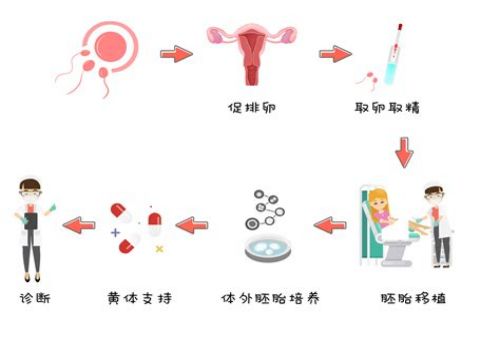 厦门助孕生子：怀孕初期吃辣有什么影响,怀孕初期吃辣椒的危害