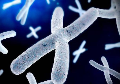 上环后想备孕怎么办，取环后不影响正常受孕