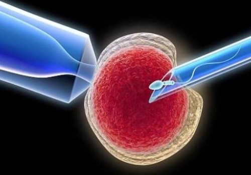 2022怀孕想生女孩有什么办法吗